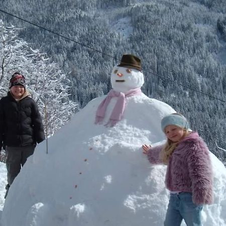 Chalet Catton Two Bedroom Appartement Near Bad Kleinkirchheim ラーデンタイン エクステリア 写真
