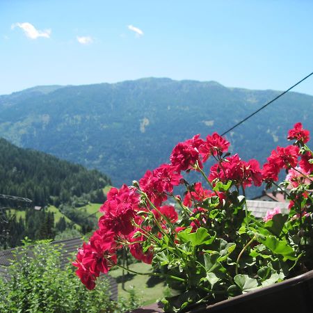 Chalet Catton Two Bedroom Appartement Near Bad Kleinkirchheim ラーデンタイン エクステリア 写真