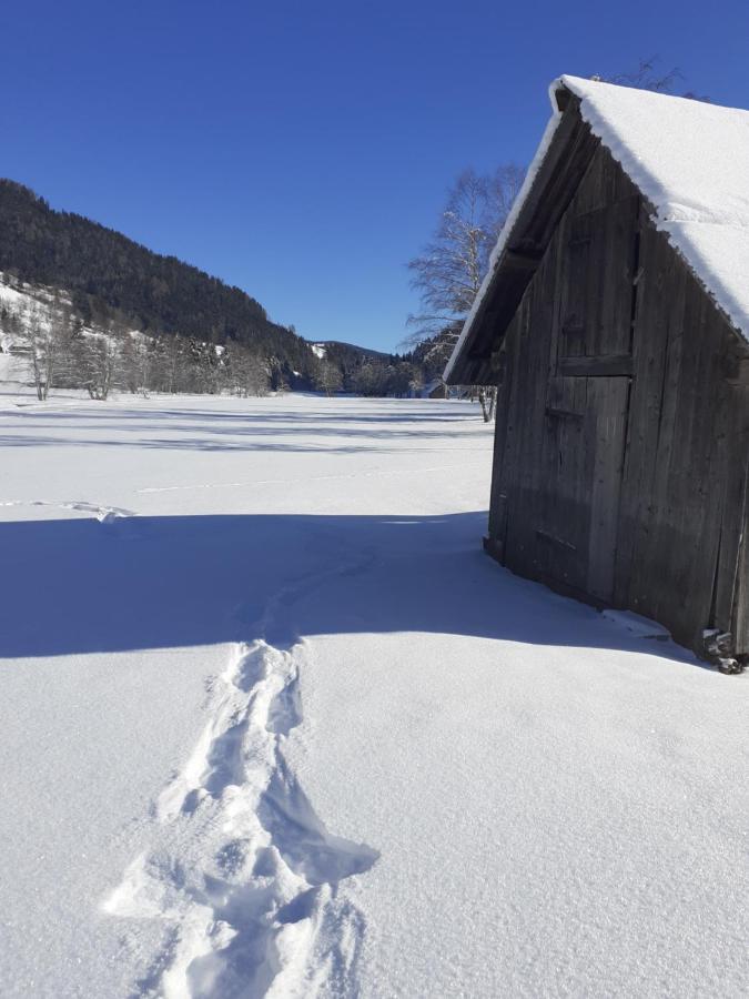 Chalet Catton Two Bedroom Appartement Near Bad Kleinkirchheim ラーデンタイン エクステリア 写真